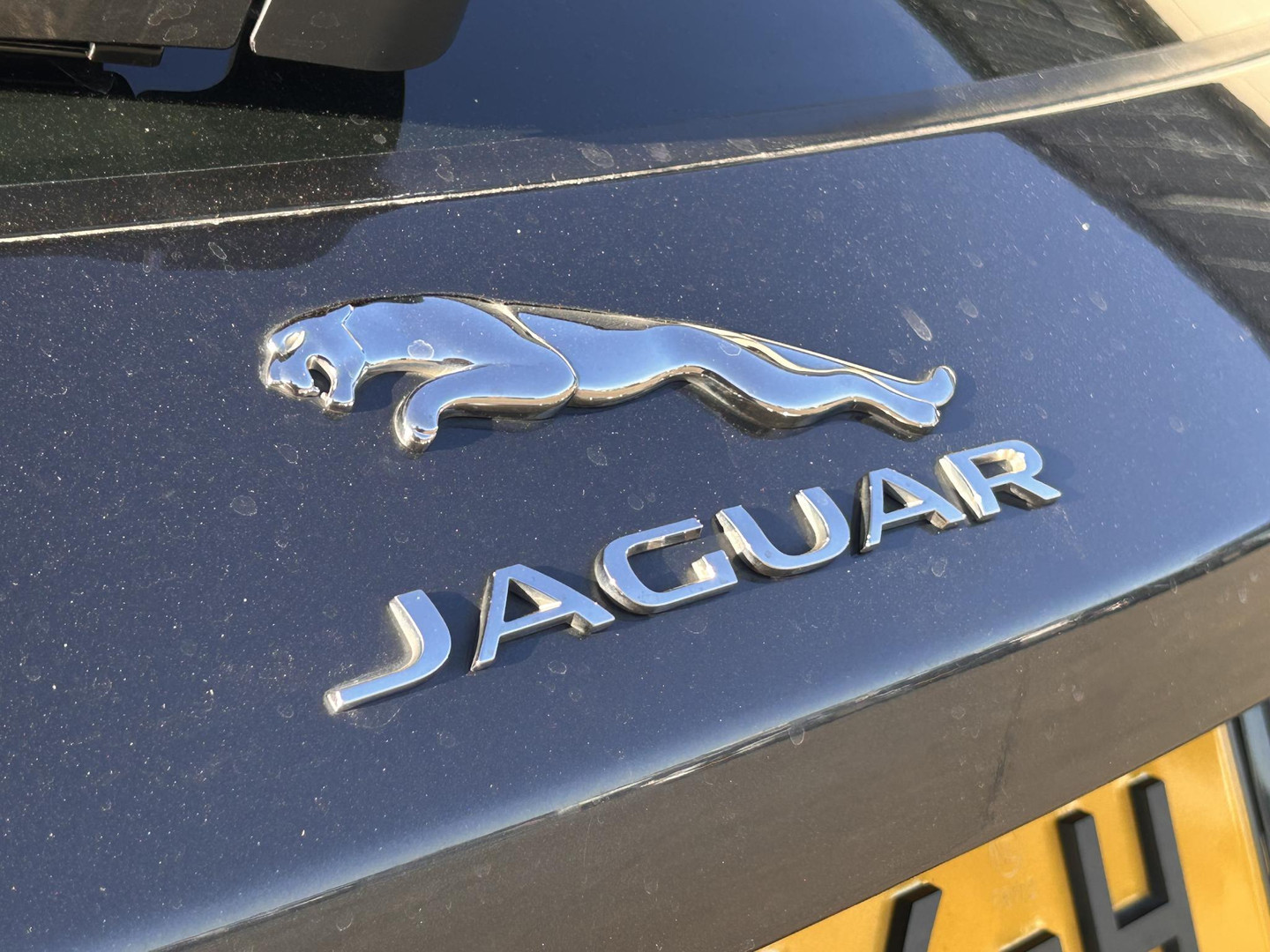 Jaguar Jaguar