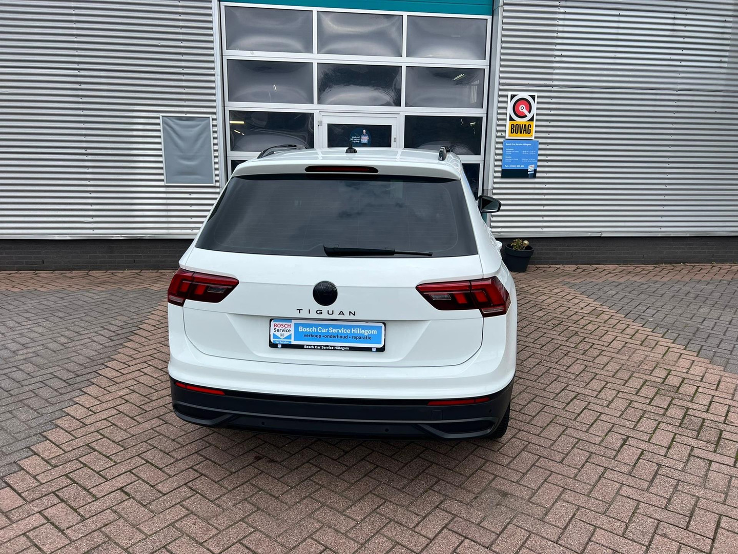 Volkswagen Volkswagen