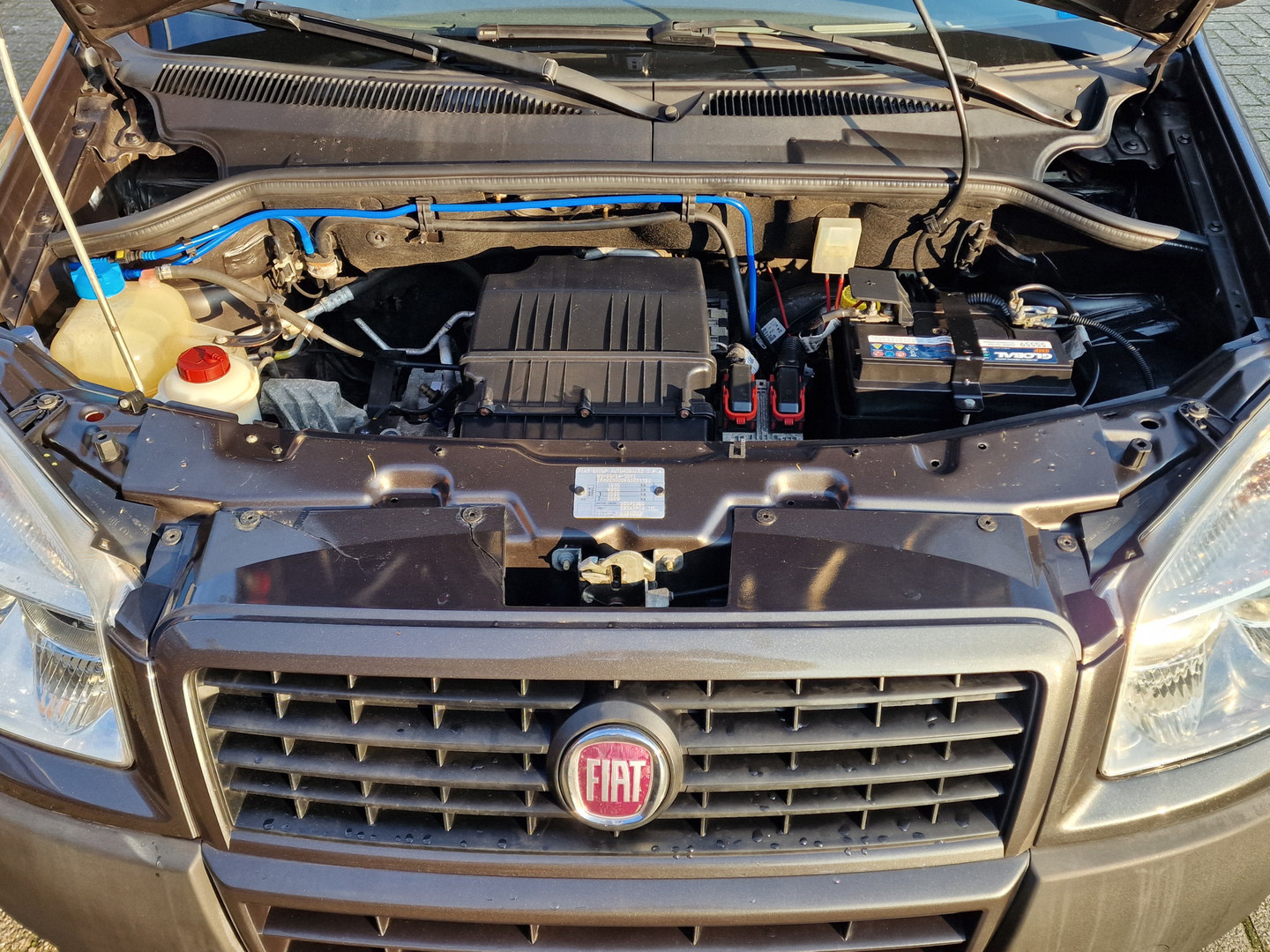 Fiat