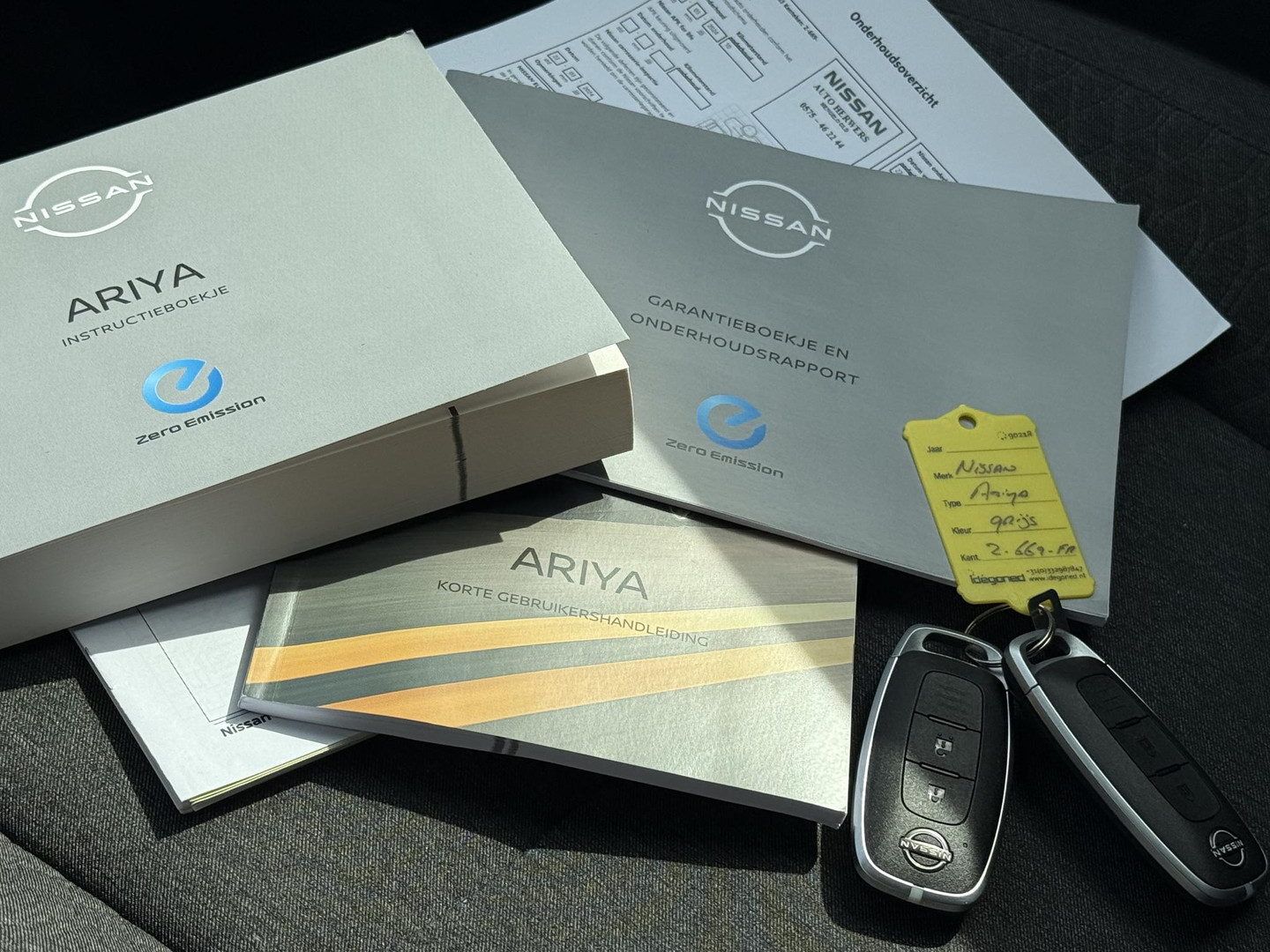 Nissan Ariya