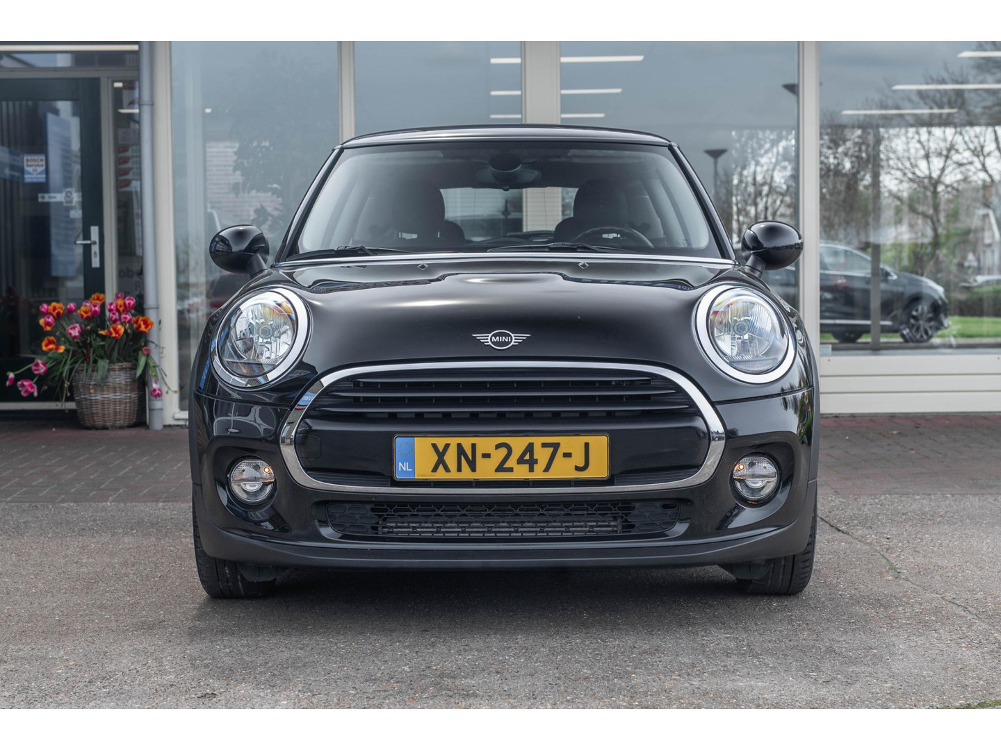 MINI