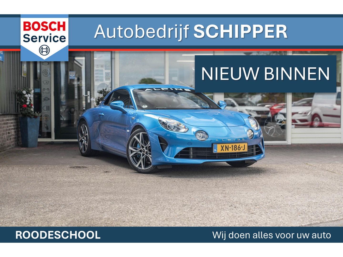 ALPINE