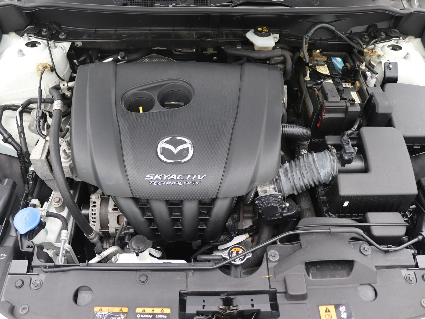 Mazda Mazda