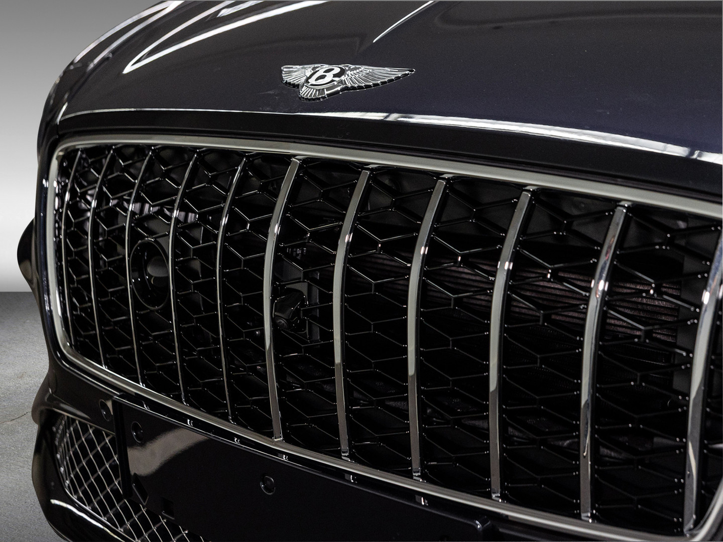 Bentley Bentley