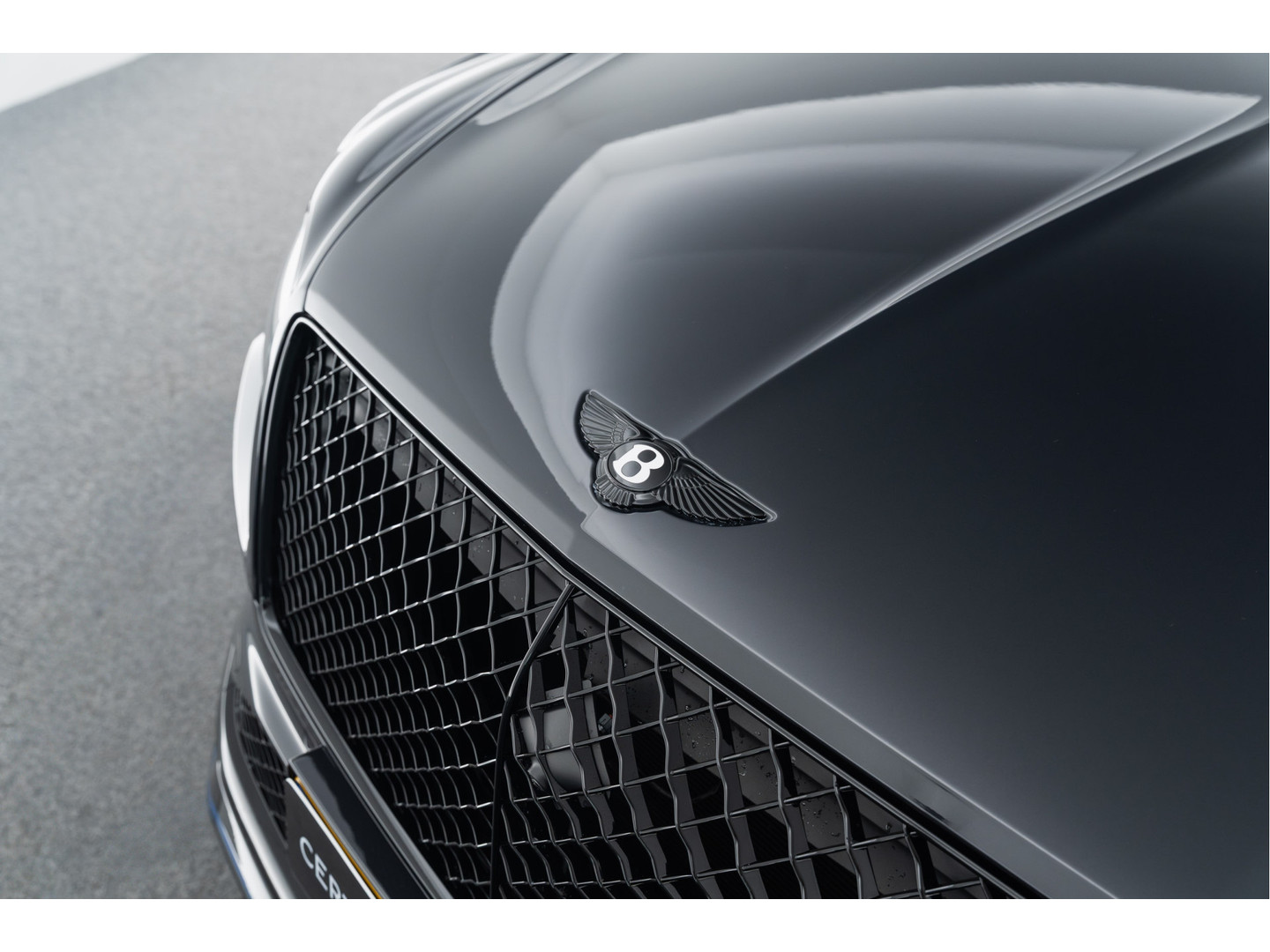 Bentley Bentley