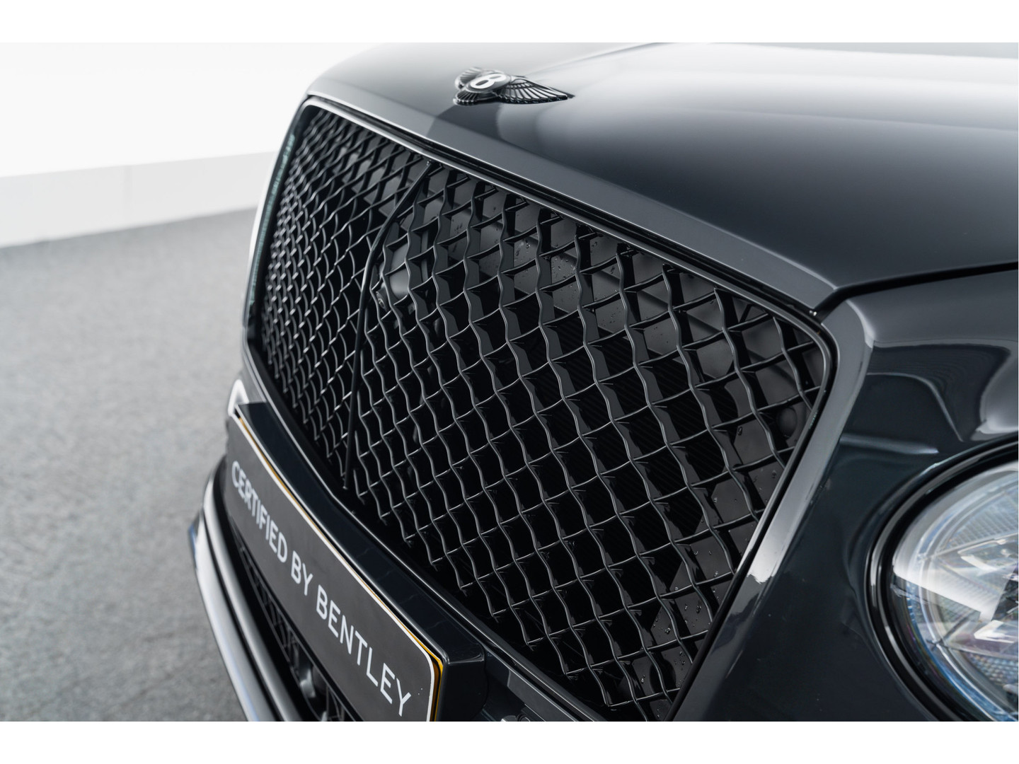 Bentley Bentley