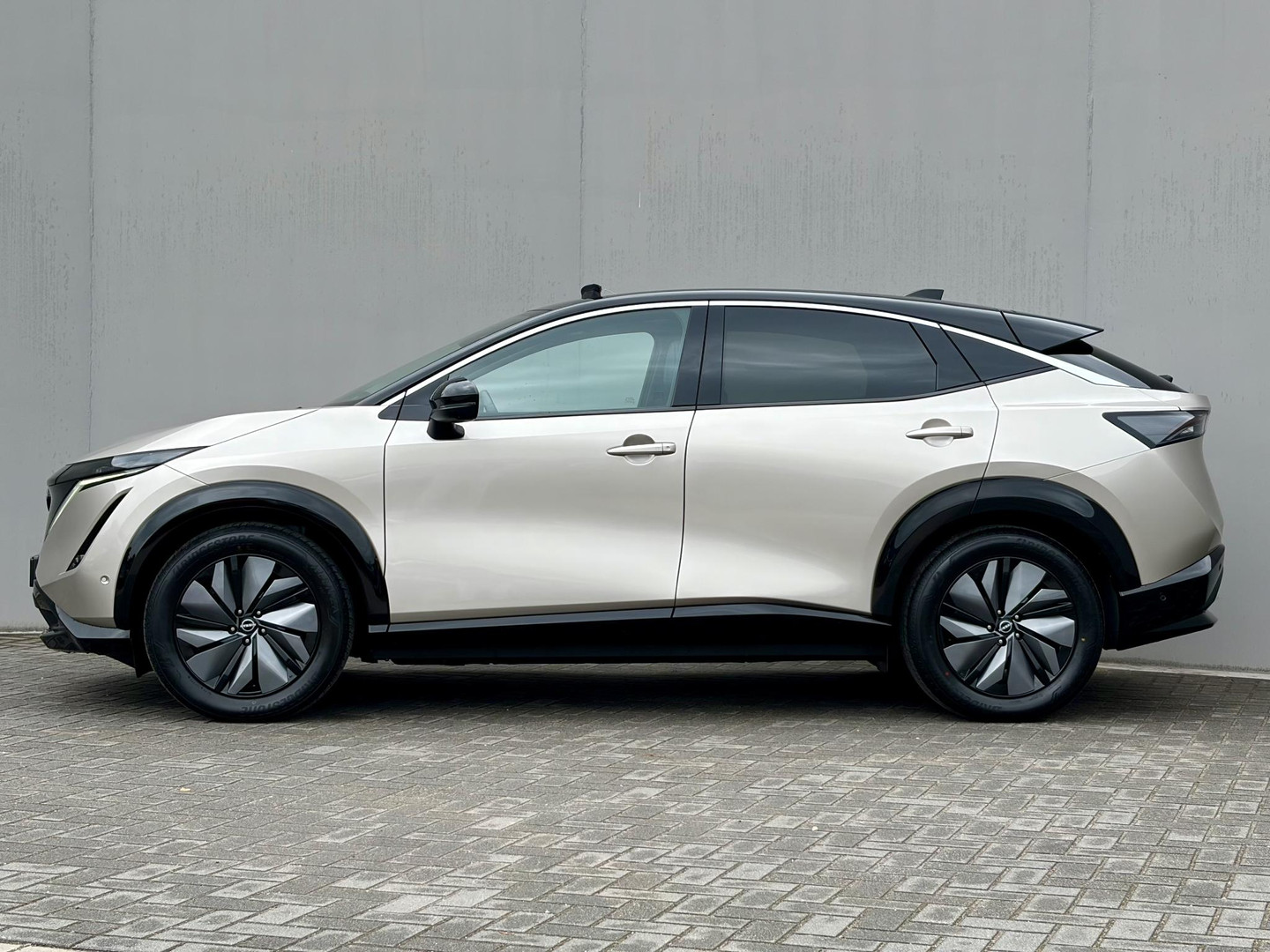 Nissan Ariya
