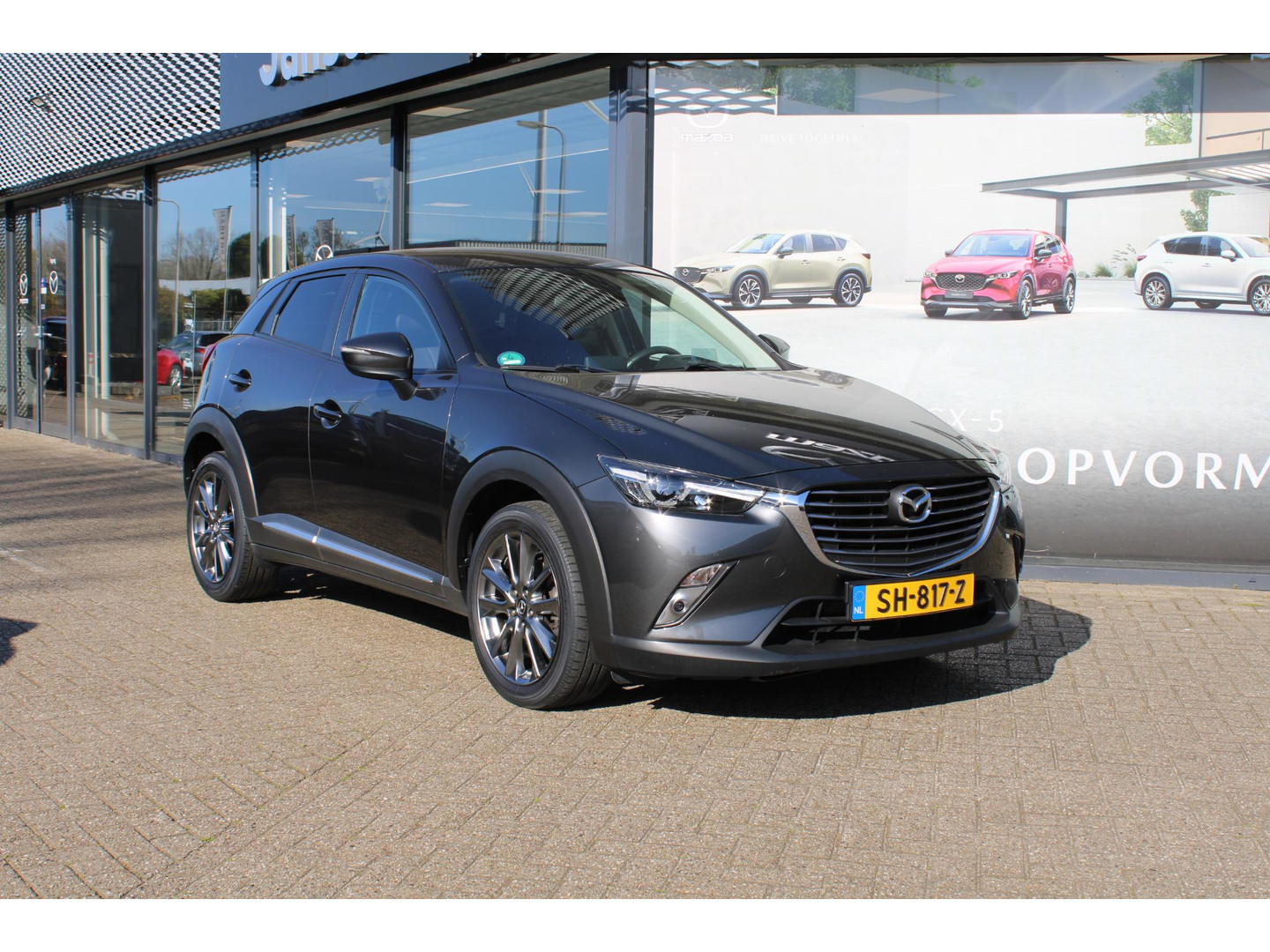 Mazda Mazda