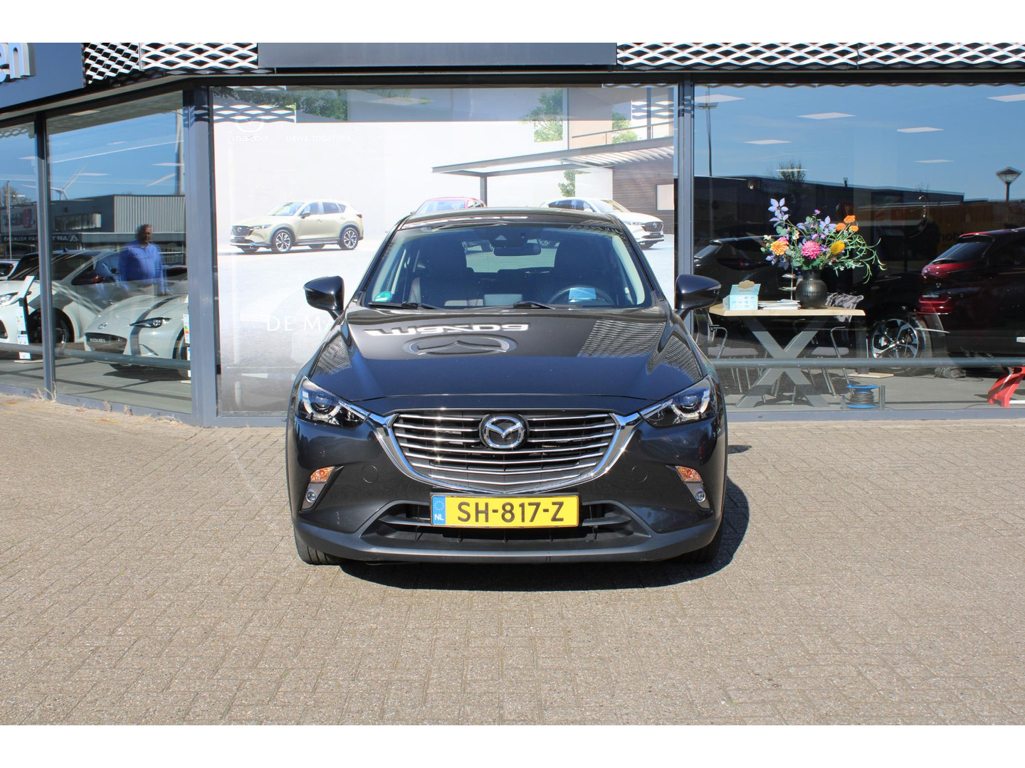 Mazda Mazda