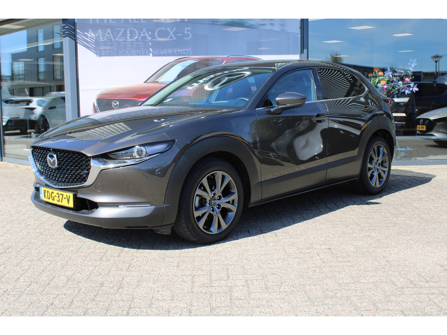 Mazda