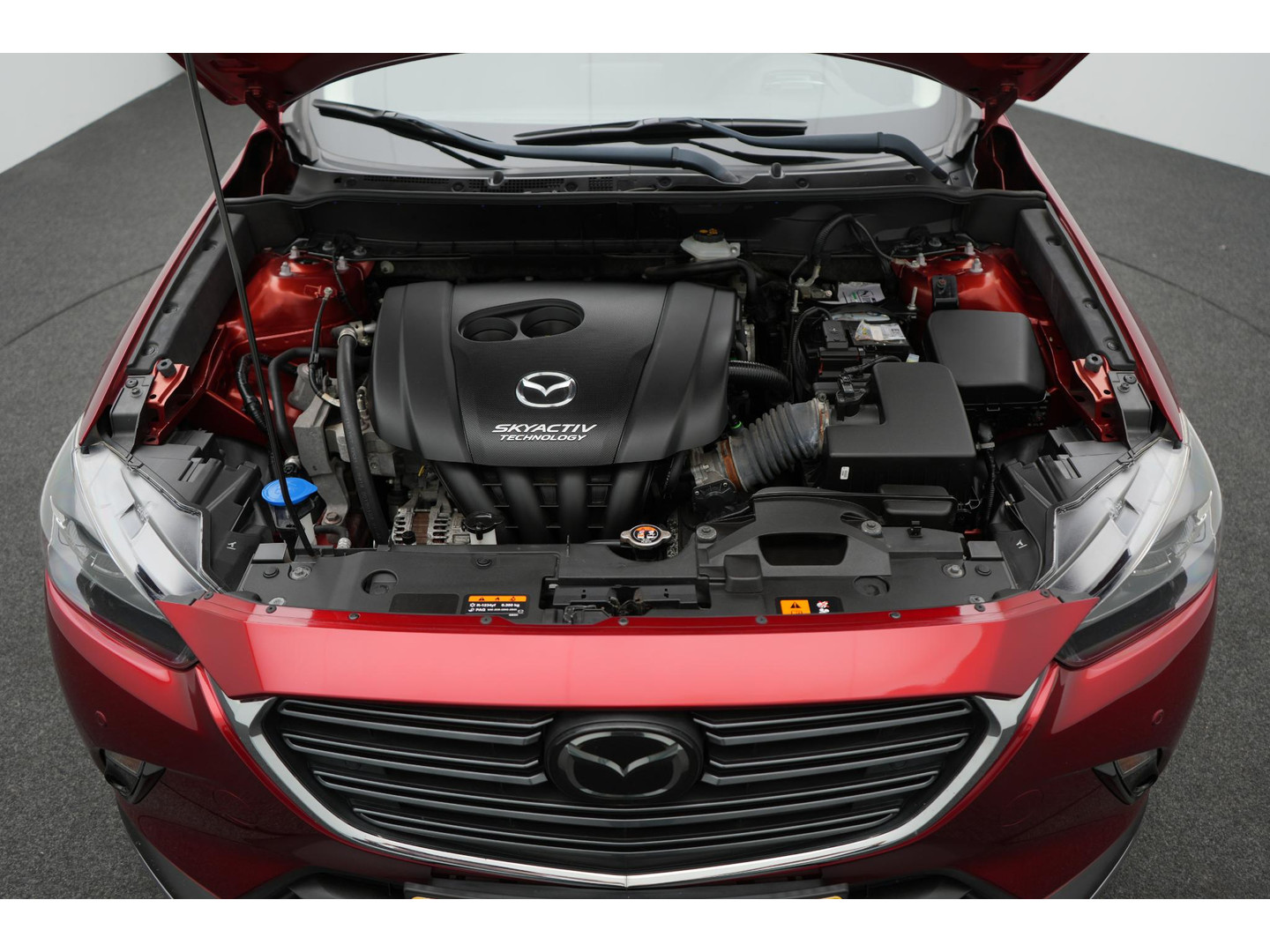 Mazda Mazda