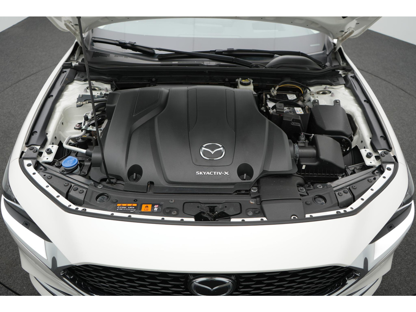 Mazda Mazda