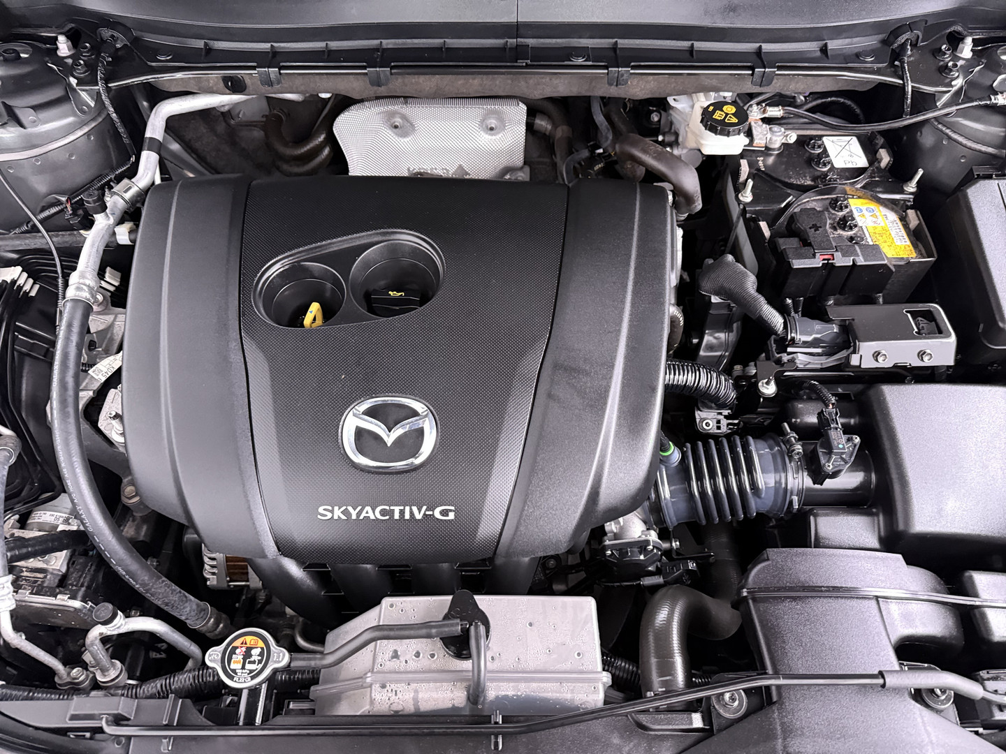 Mazda Mazda