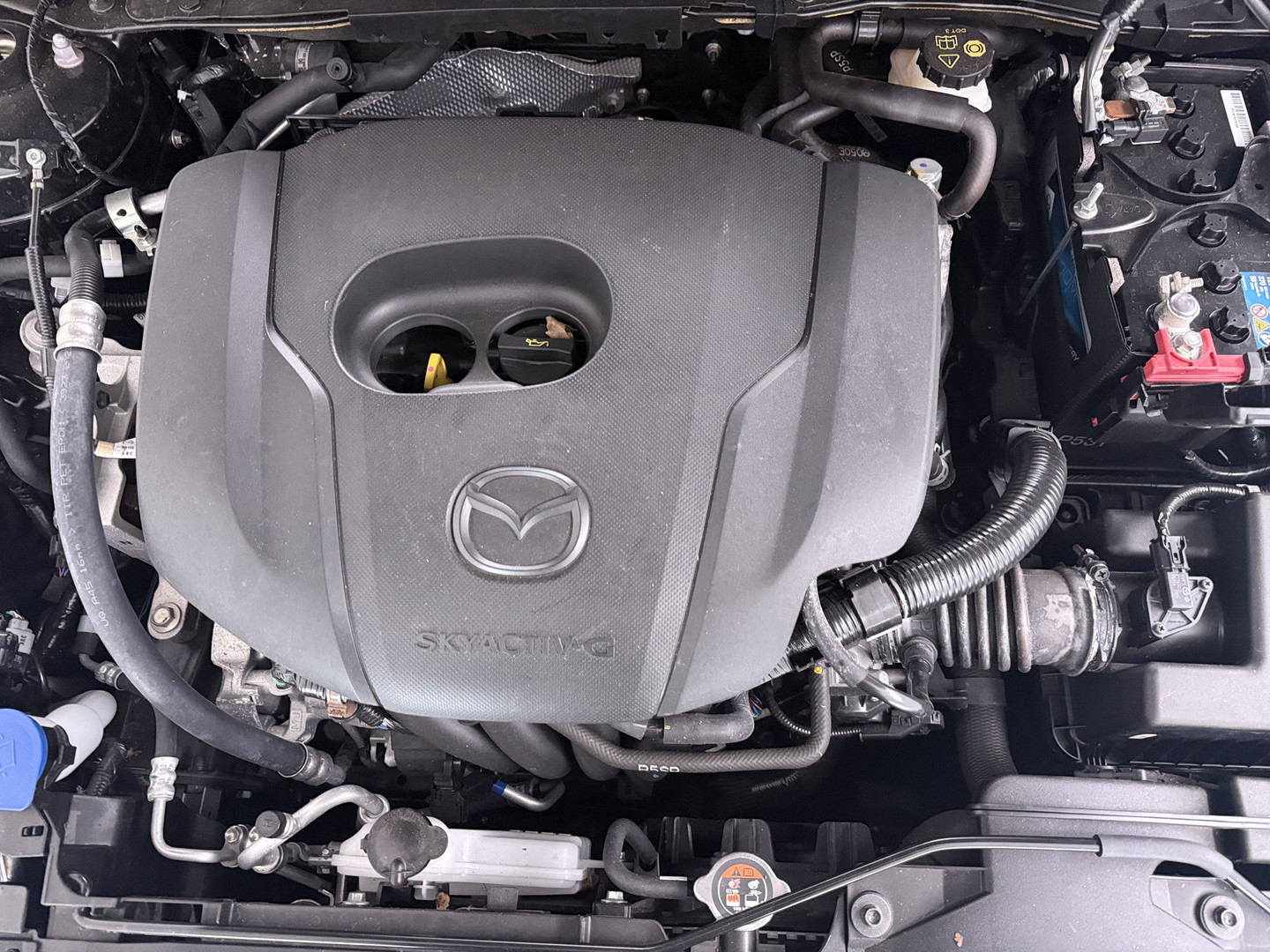 Mazda