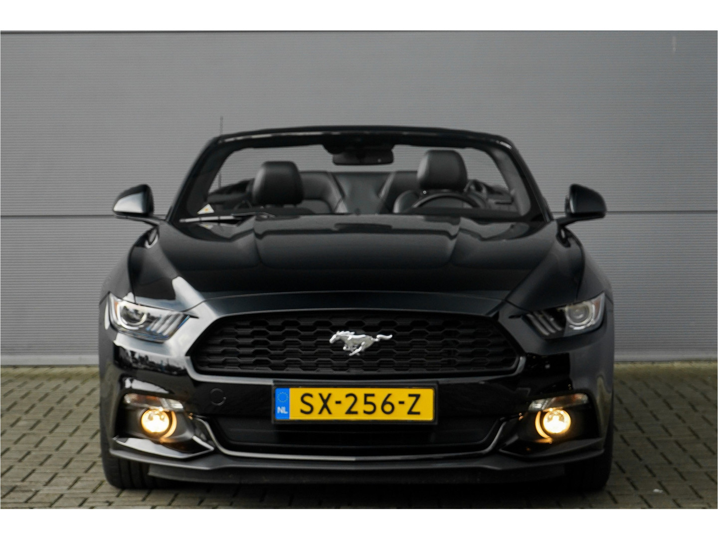 Ford