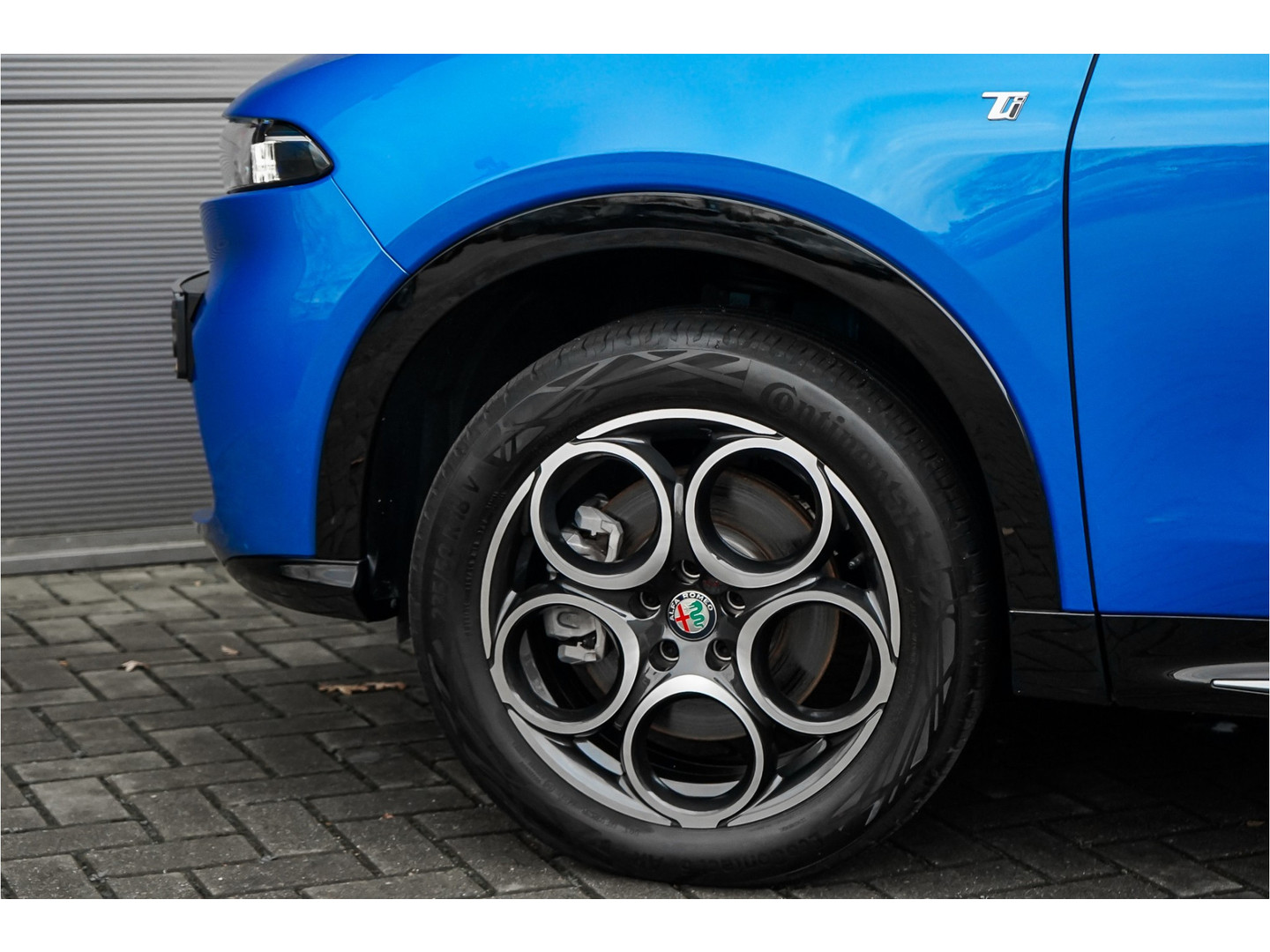 Alfa Romeo Alfa Romeo