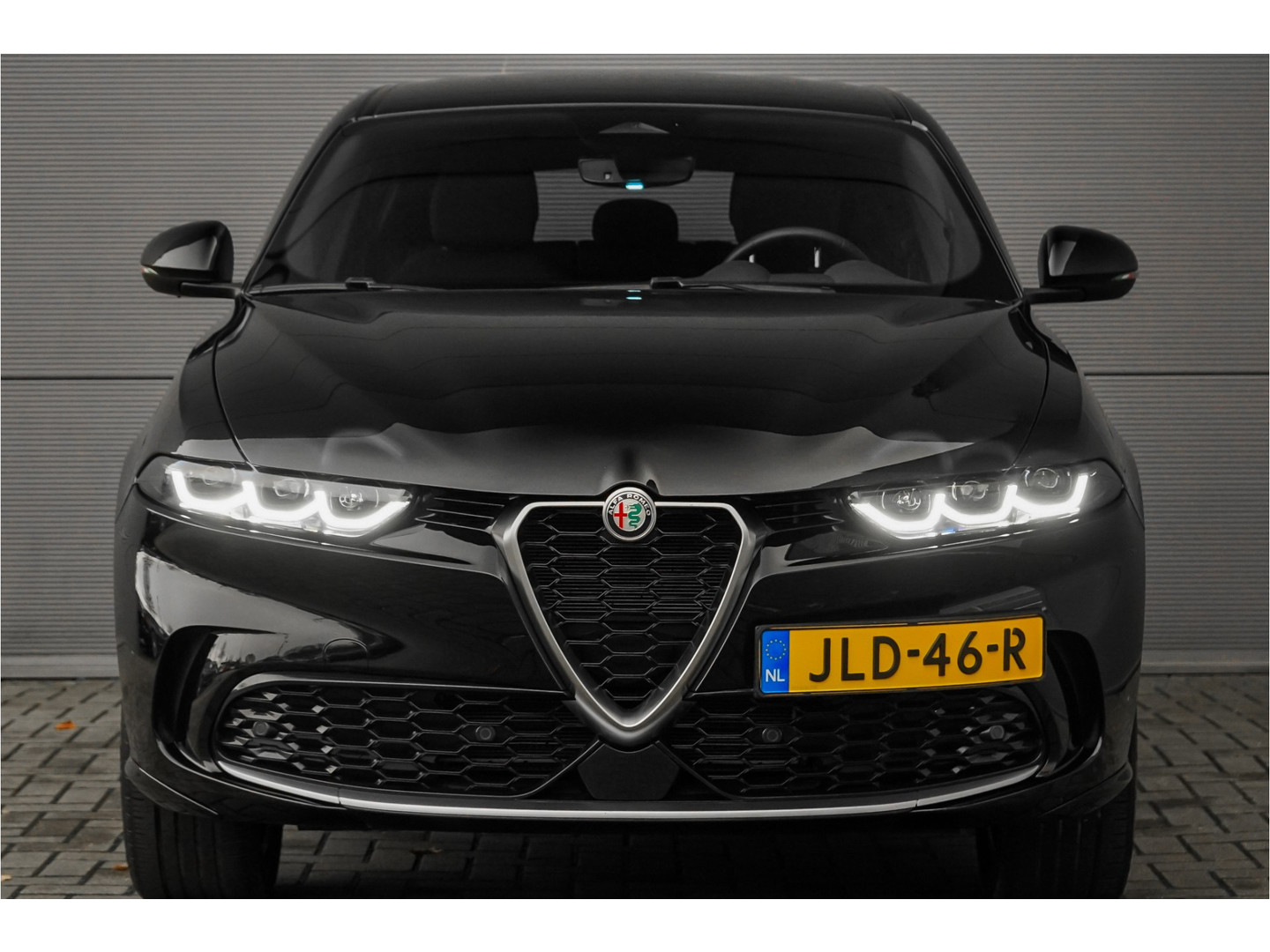 Alfa Romeo Alfa Romeo