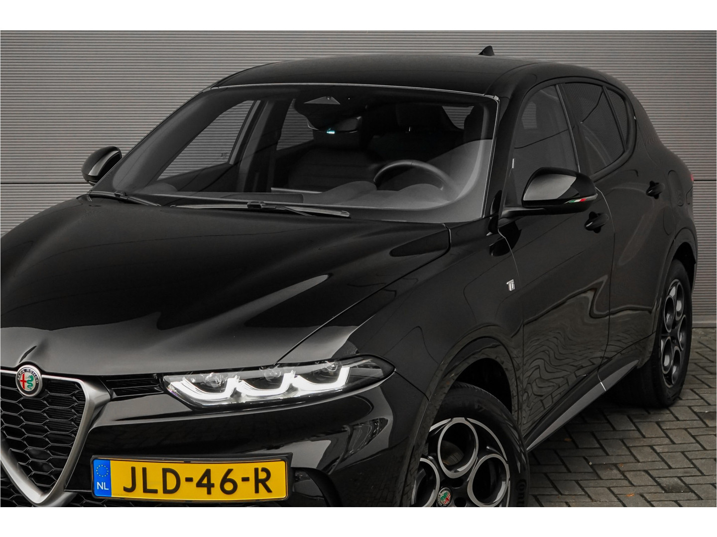 Alfa Romeo Alfa Romeo