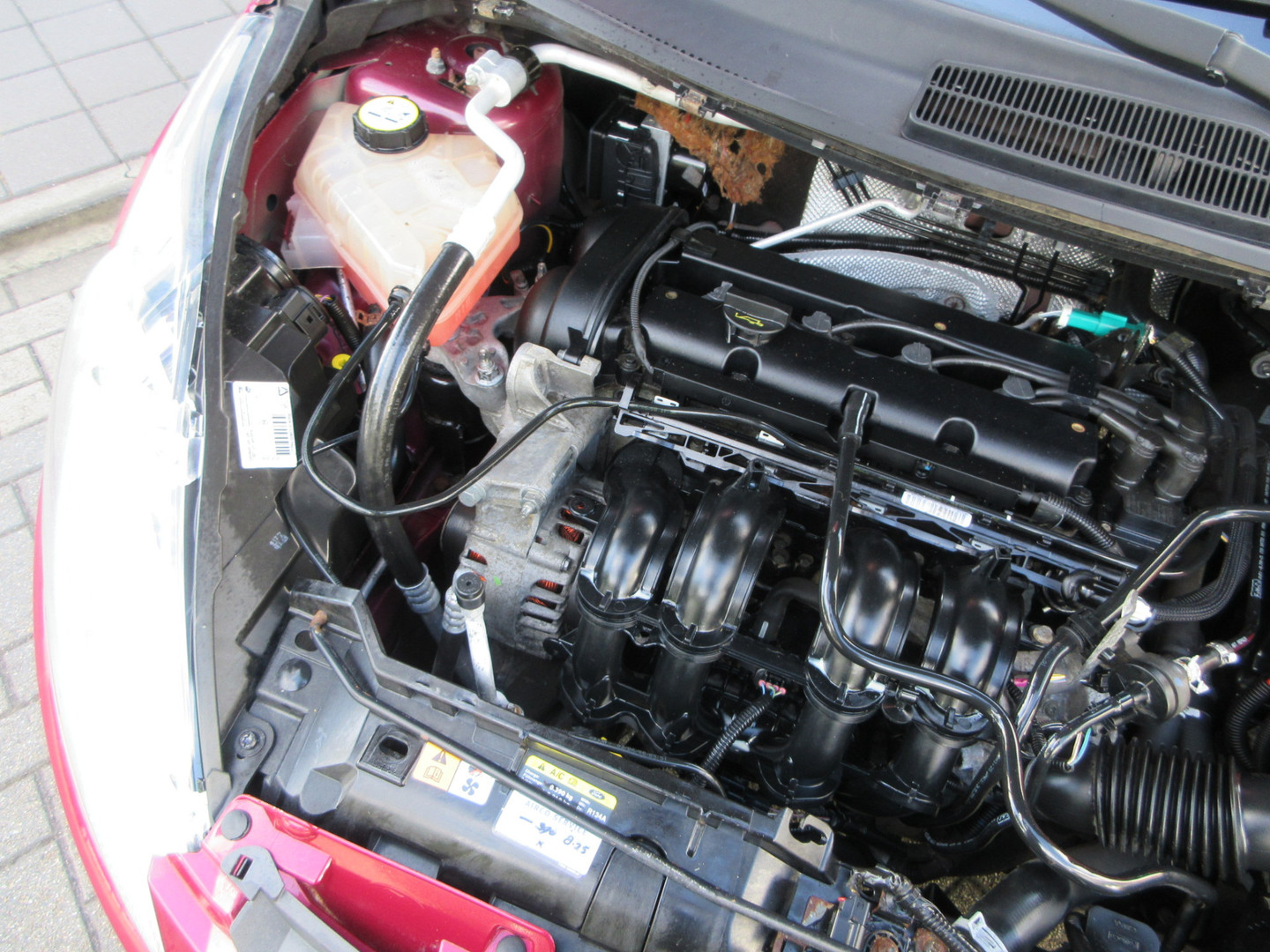 Ford