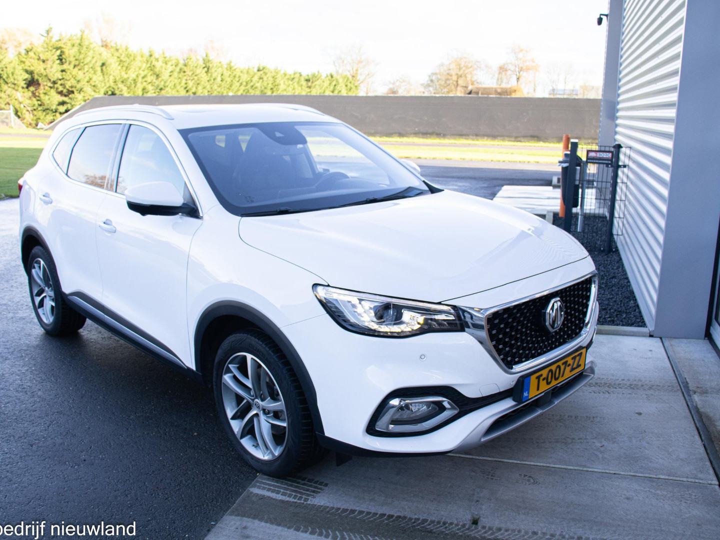 MG
