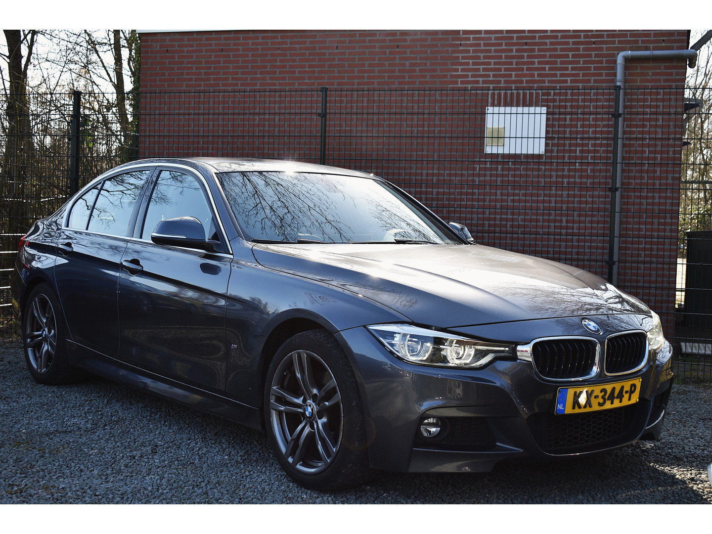 BMW BMW