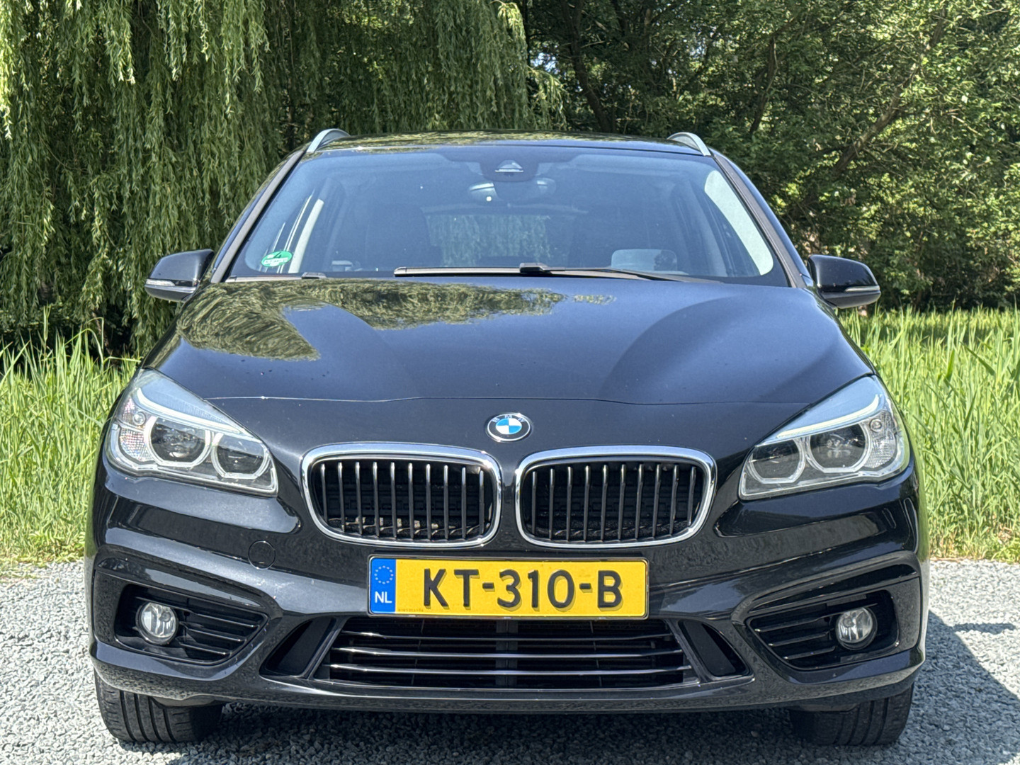 BMW BMW
