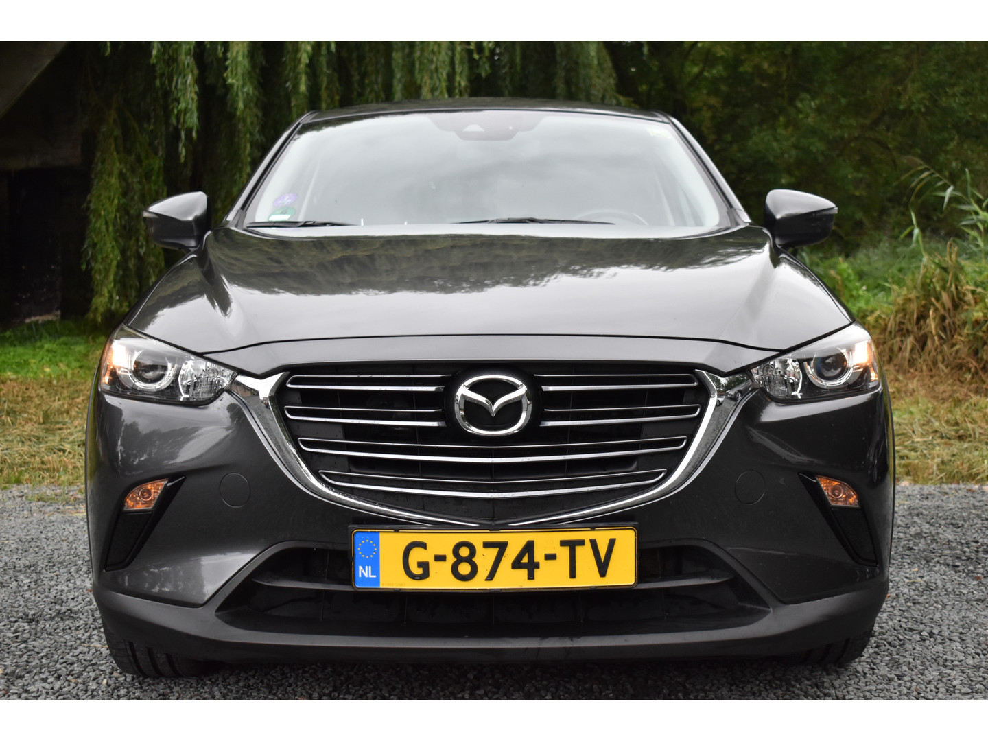Mazda Mazda