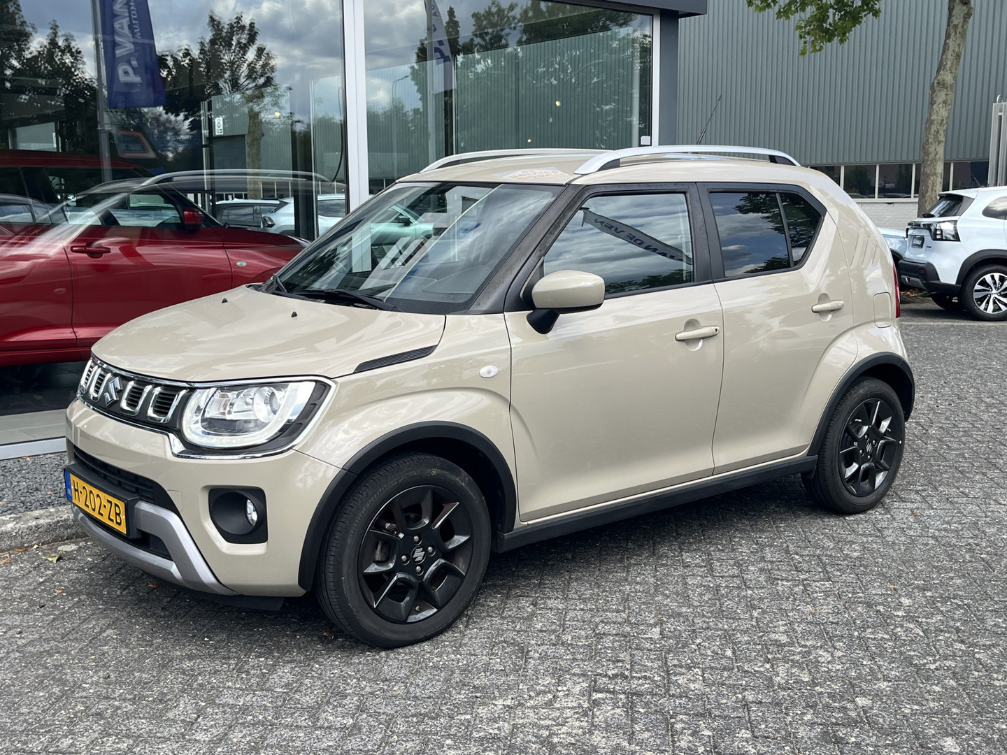 Suzuki