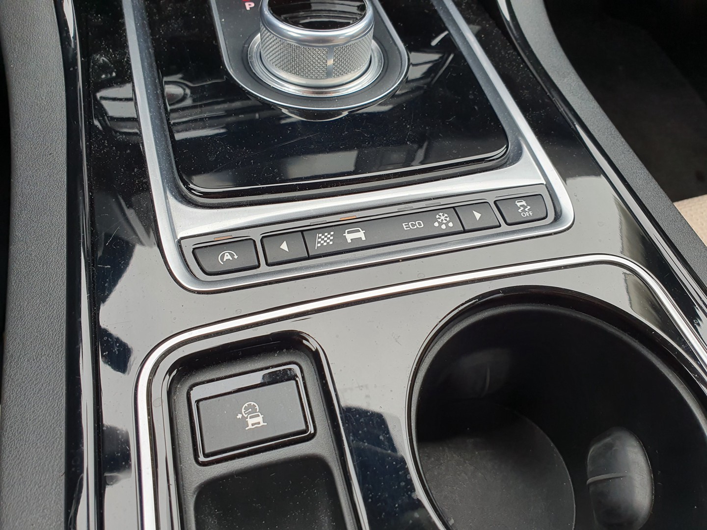 Jaguar Jaguar