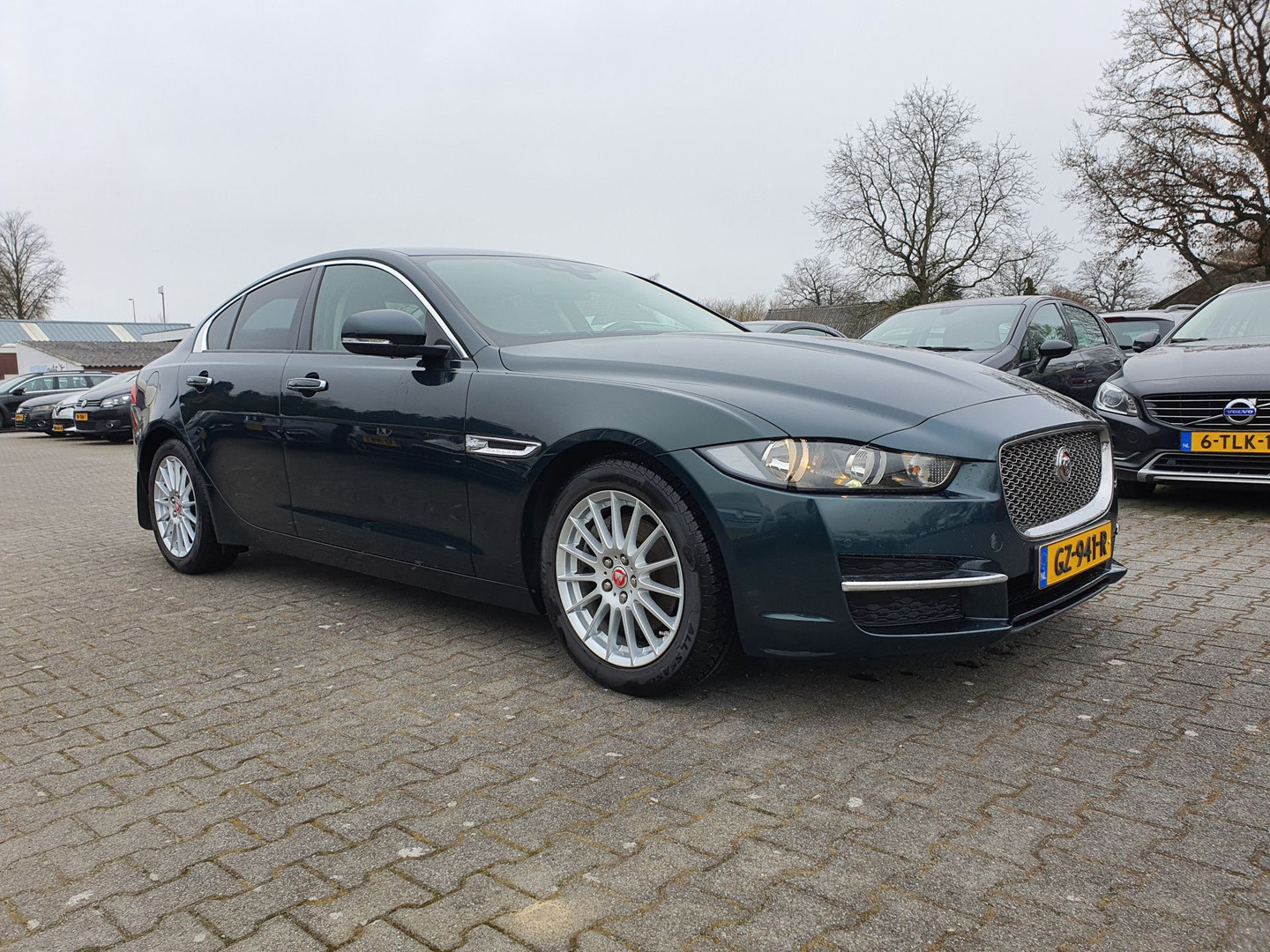 Jaguar Jaguar