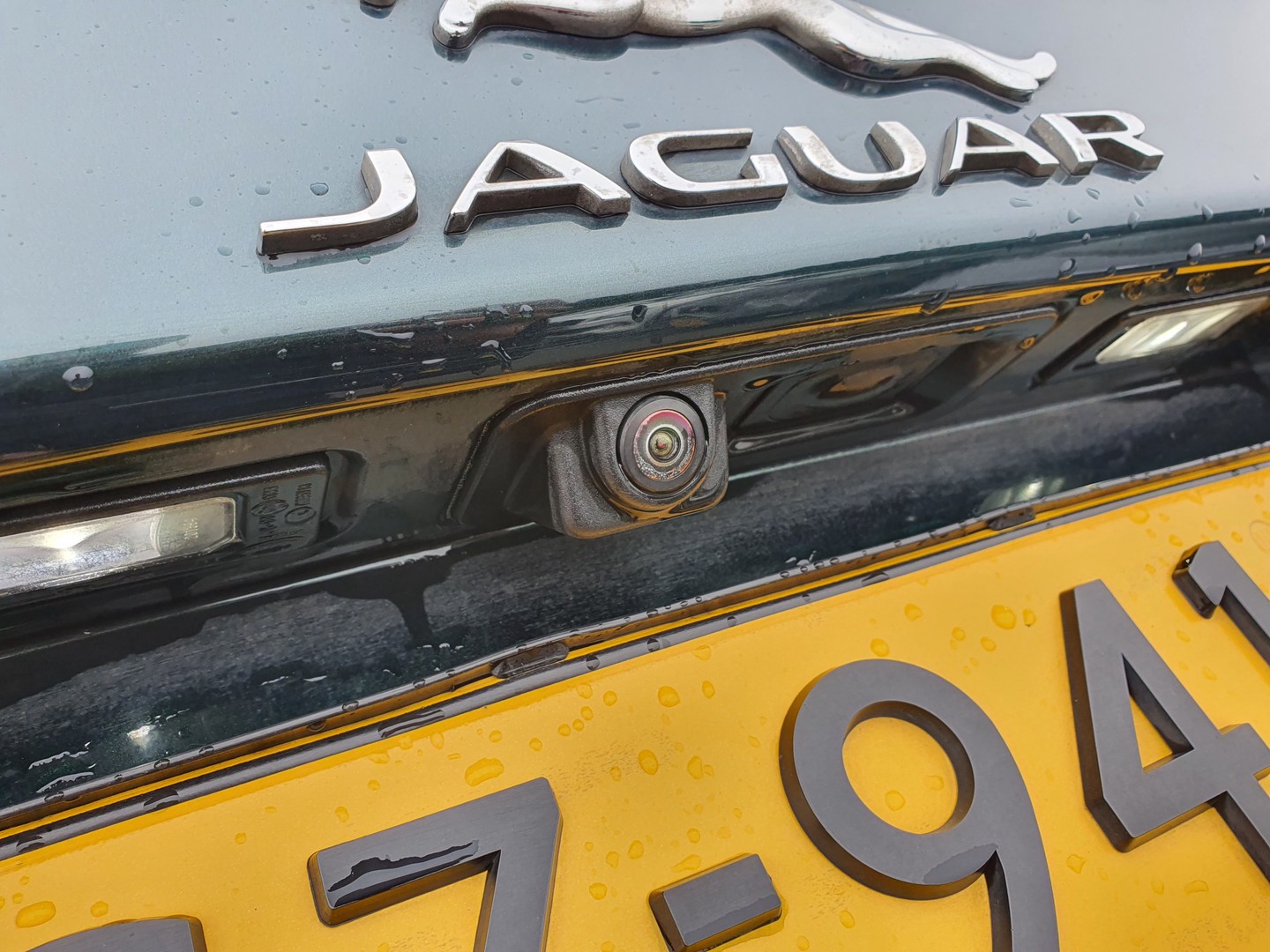 Jaguar Jaguar
