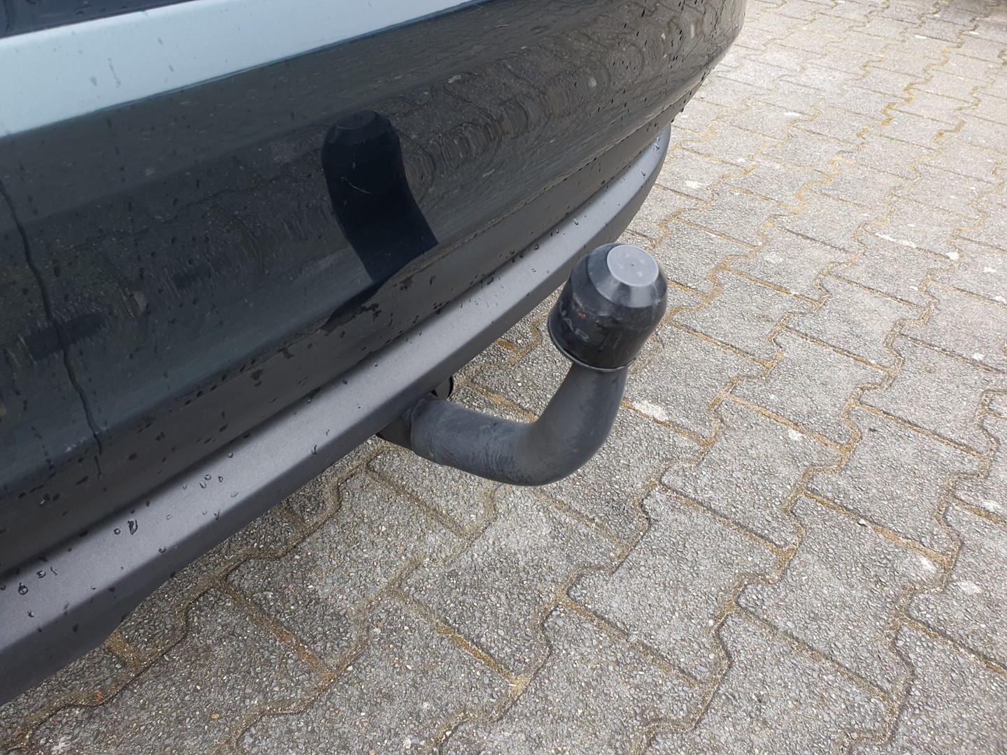 Jaguar Jaguar
