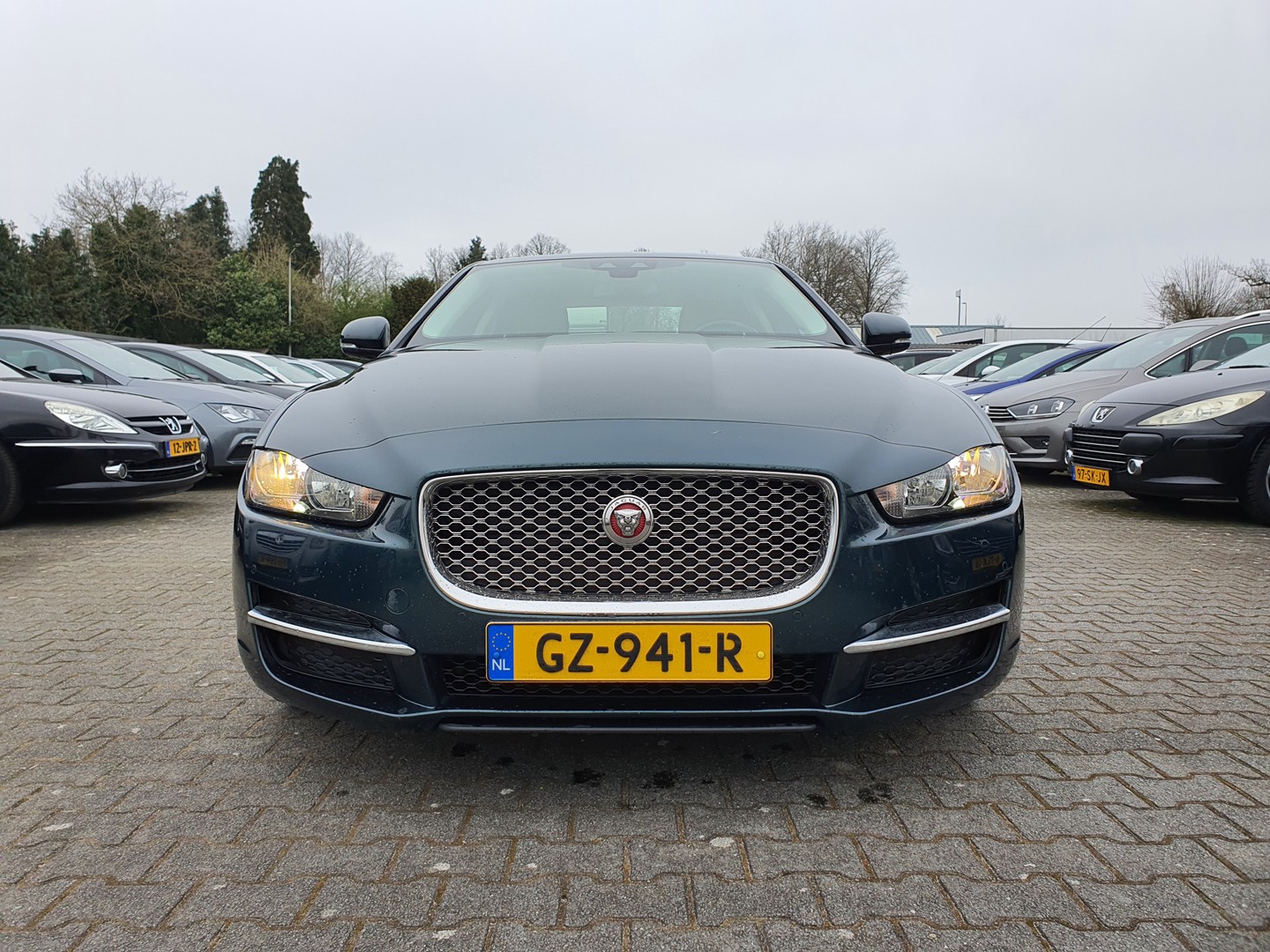 Jaguar Jaguar