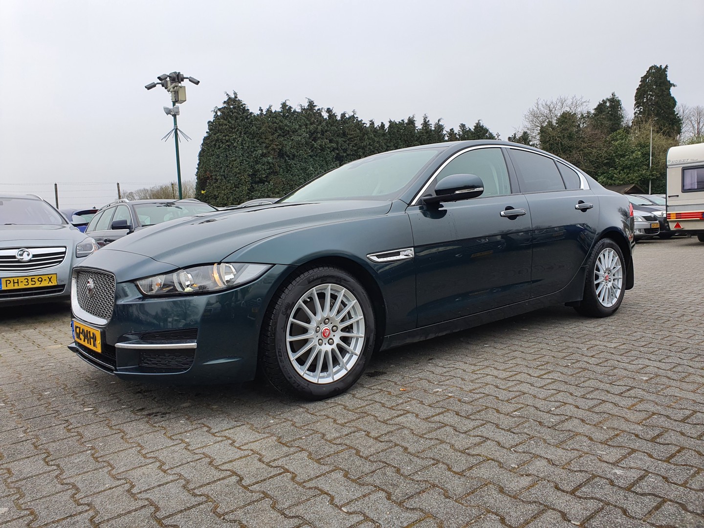 Jaguar Jaguar