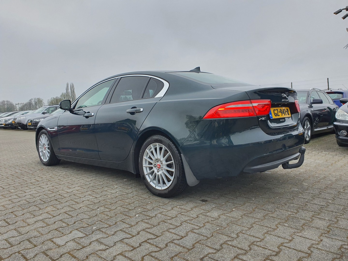 Jaguar Jaguar