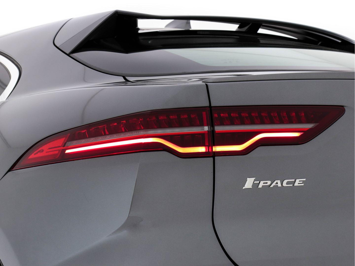 Jaguar Jaguar