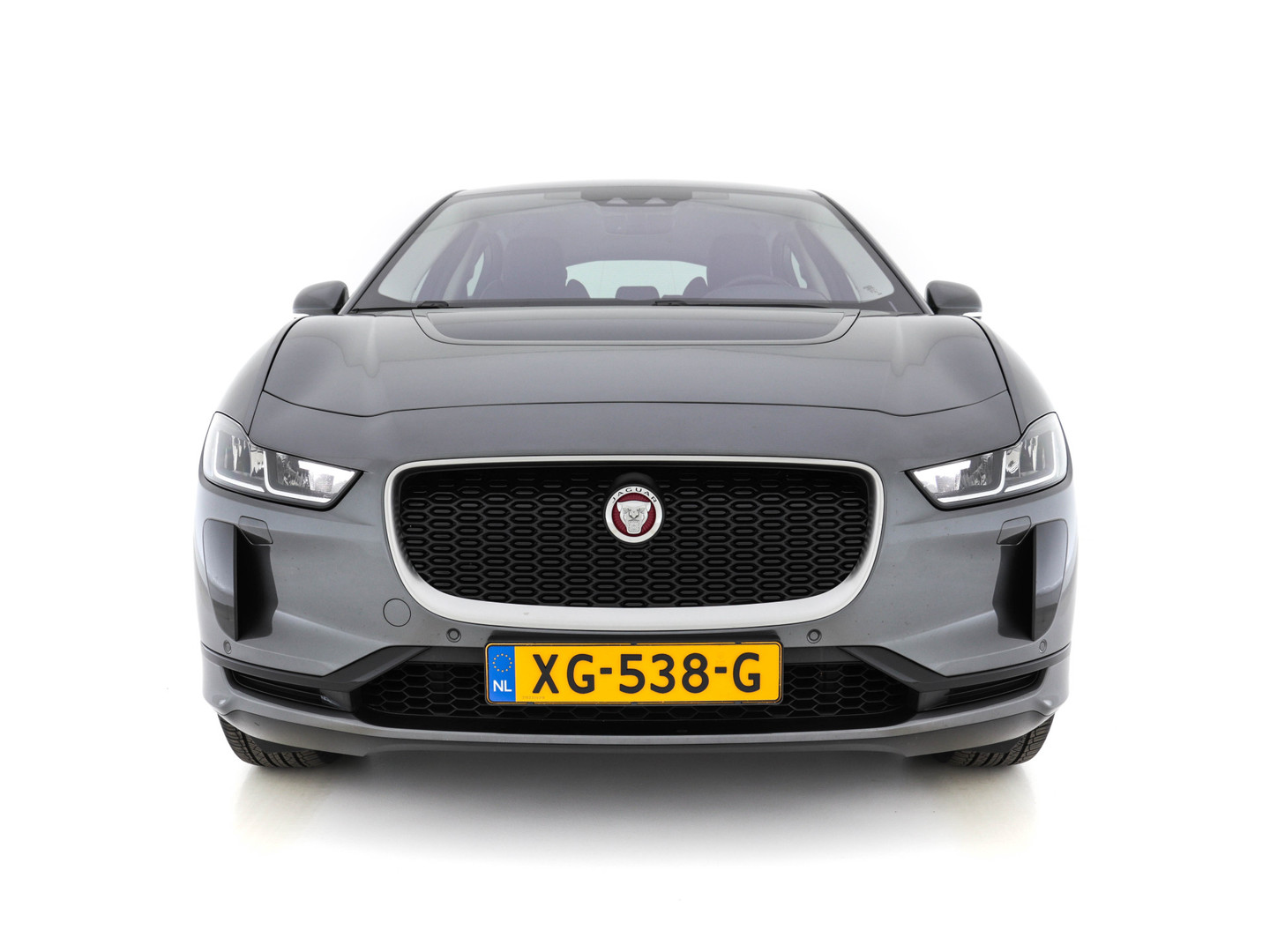 Jaguar Jaguar
