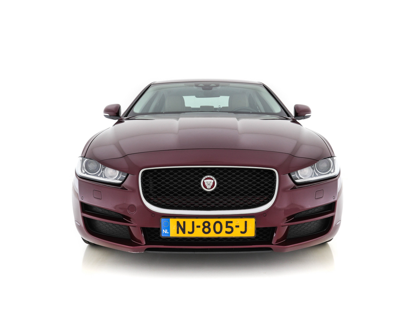 Jaguar Jaguar