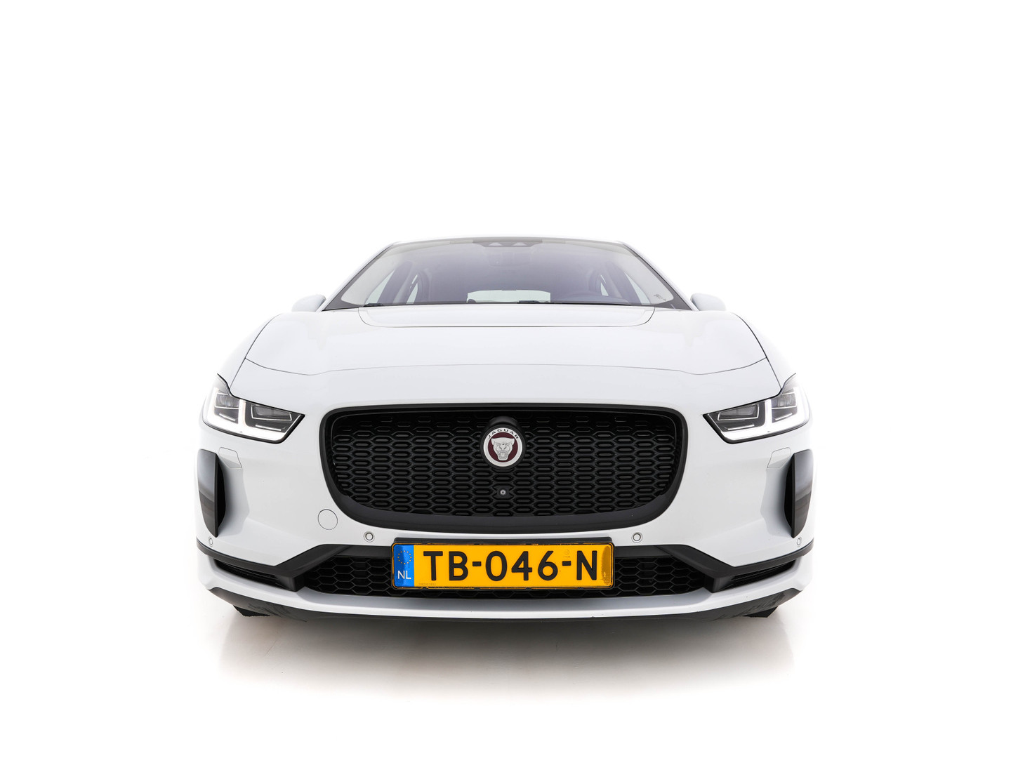 Jaguar Jaguar