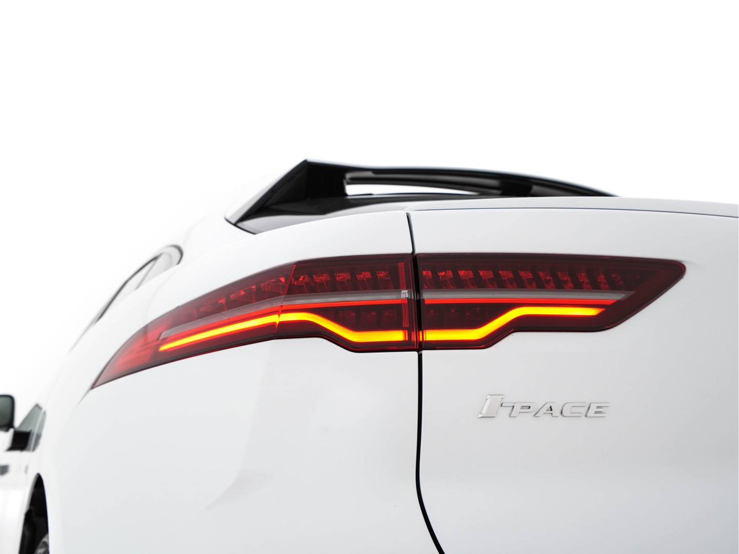 Jaguar Jaguar