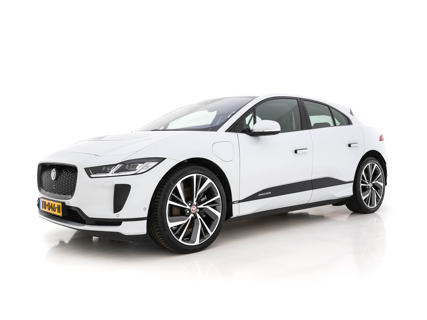 Jaguar Jaguar
