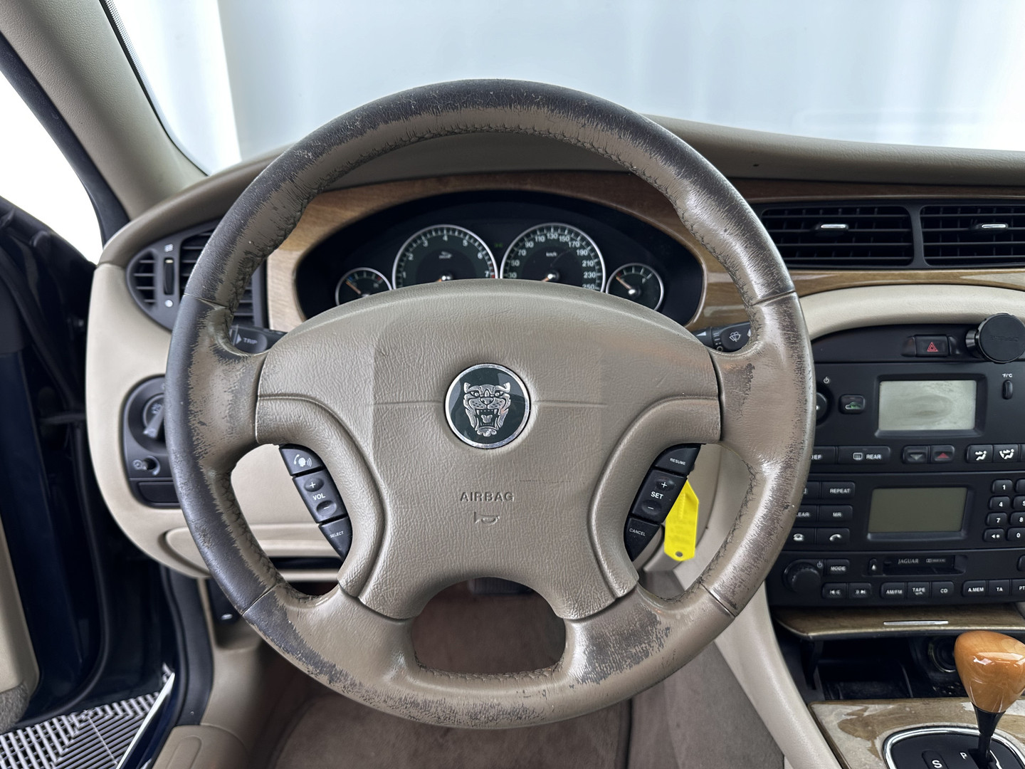 Jaguar