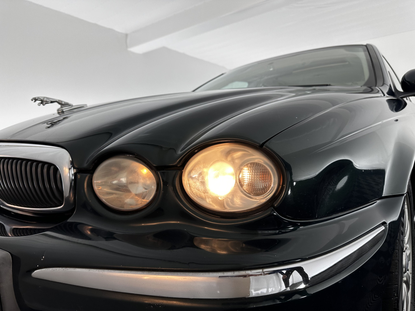 Jaguar