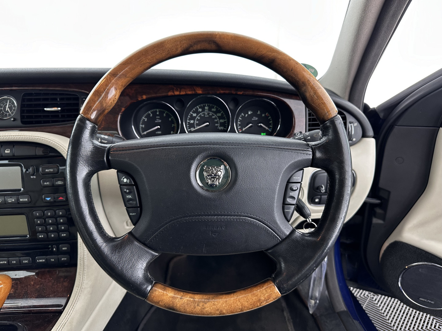Jaguar