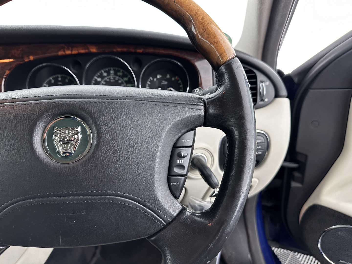 Jaguar