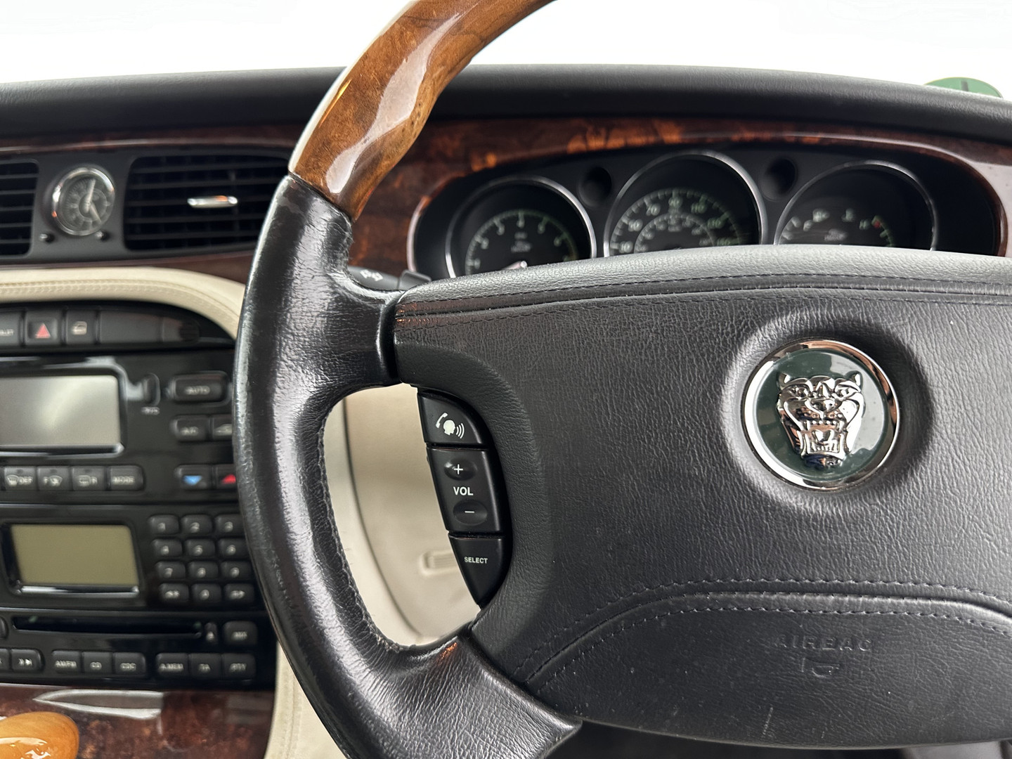 Jaguar