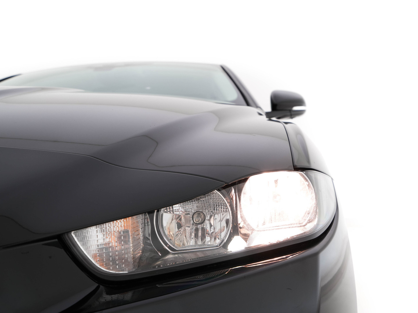 Jaguar Jaguar