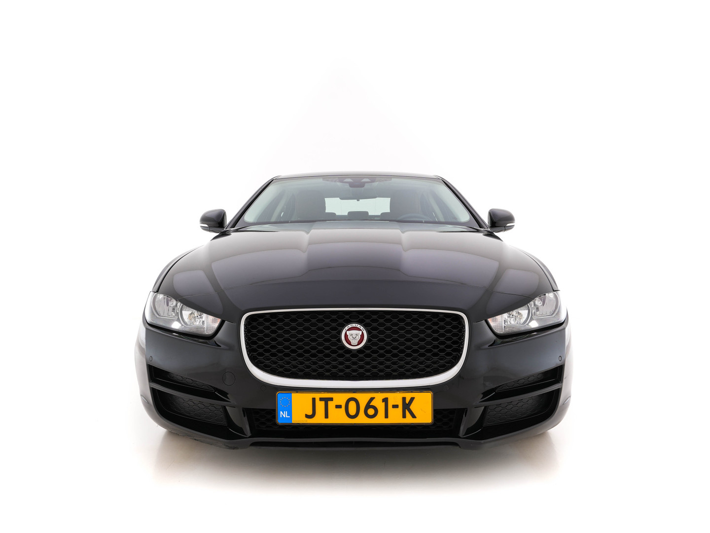 Jaguar Jaguar