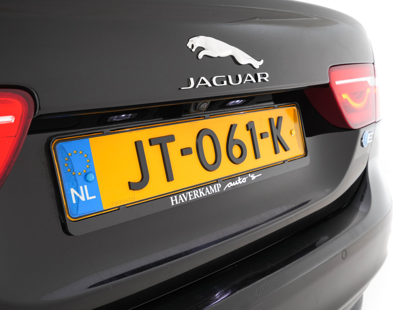 Jaguar Jaguar