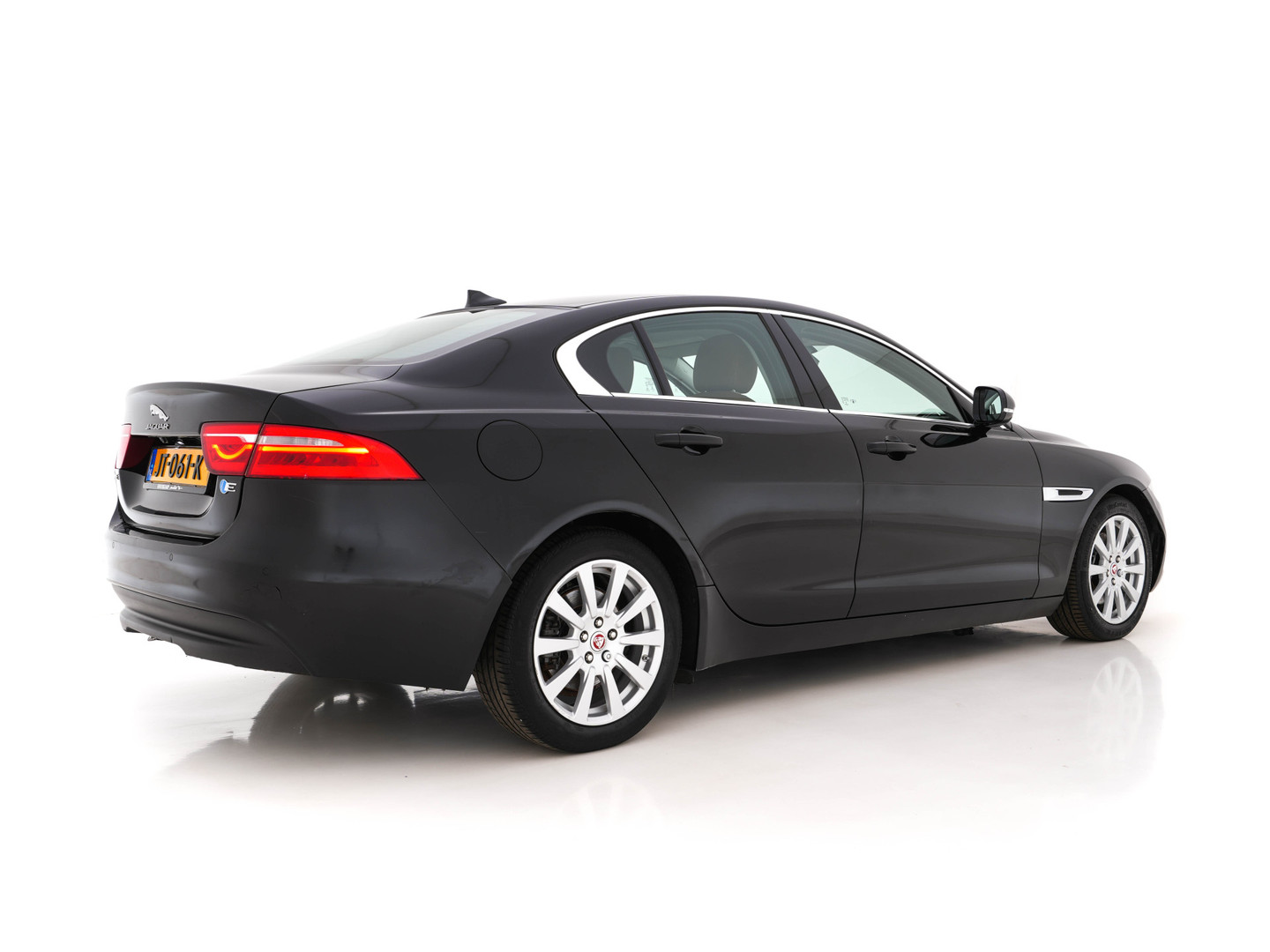 Jaguar Jaguar